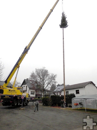 Es ist vollbracht: Mit einigem technischen Aufwand ist der Riesen-Weihnachtsbaum von Kallmuth in die Senkrechte gebracht worden.   . Foto: Robert Ohlerth/pp/Agentur ProfiPress