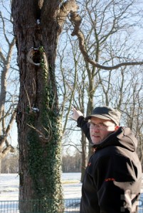 Christof Marx, städtischer Landschaftsarchitekt, kennt sich mit Schäden an Kastanienbäumen aus. Neben der Miniermotte können sie auch von Pilzen und Viren befallen werden. Foto: Steffi Tucholke/pp/Agentur ProfiPress
