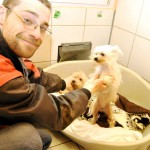 Björn Hoss, Tierpflege im Mechernicher Tierheim, freut sich, dass es den beiden Hunden bereits etwas besser geht. Foto: Renate Hotse/pp/Agentur ProfiPress
