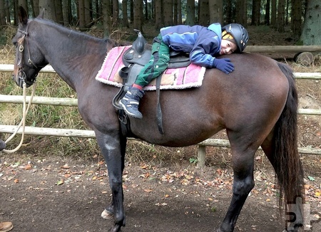 Vertrauen zwischen Pferd und Reiter ist eine Grundvoraussetzung, dies sollen die Kinder auf spielerische Art und Weise bei „Rider´s Way Out“ lernen. Foto: Simone Artar/pp/Agentur ProfiPress